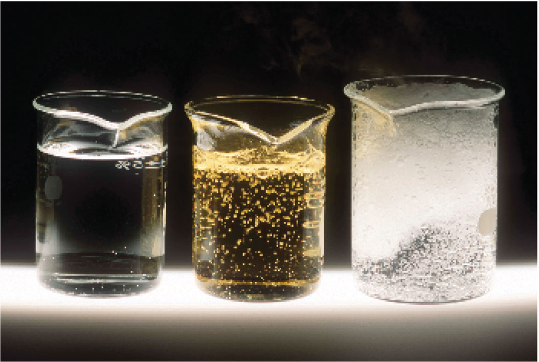 Factors That Affect Reaction Rates