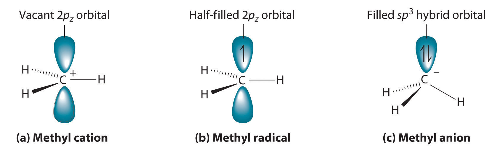 Reactivity of Organic Molecules