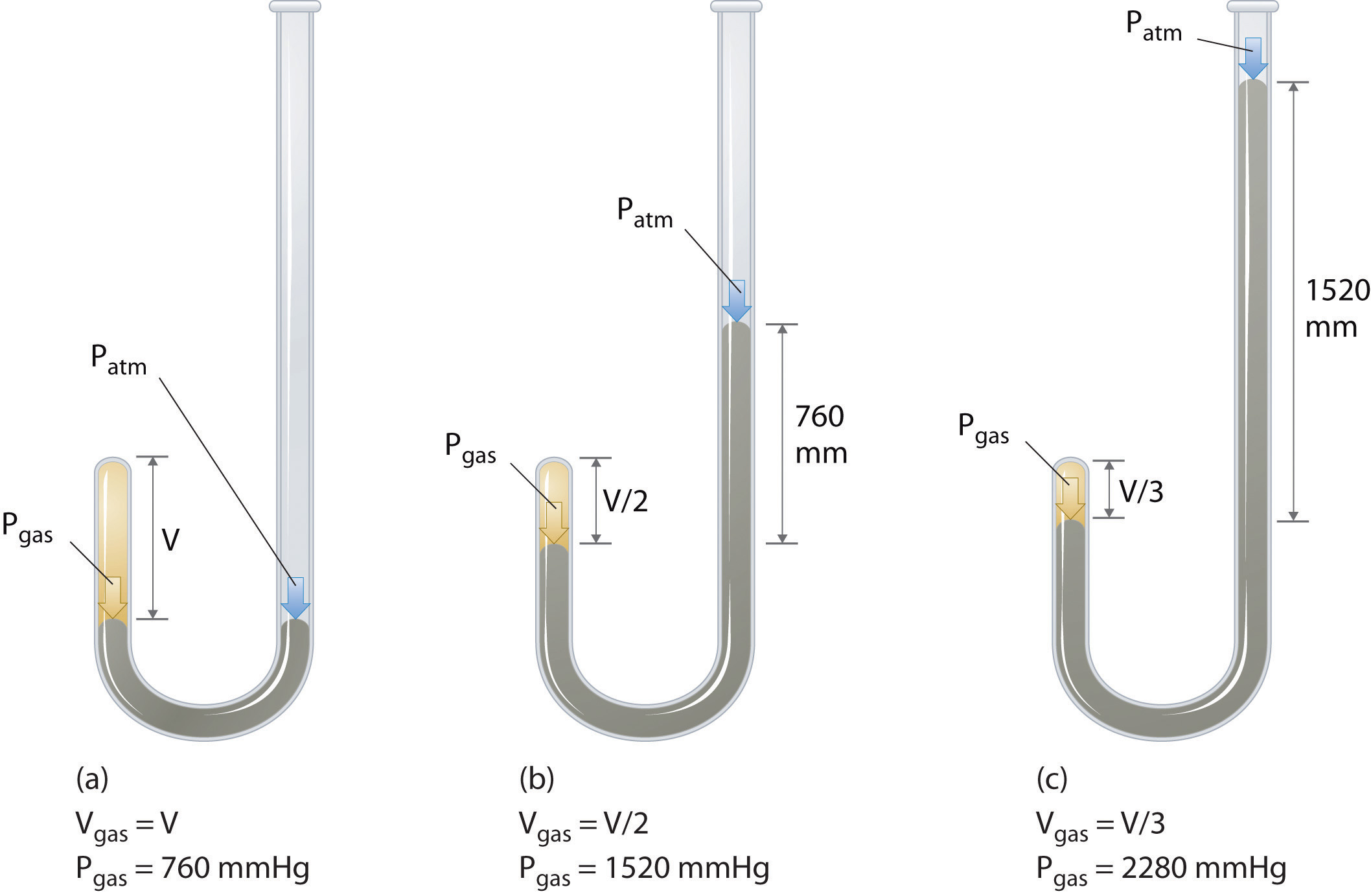 Relationships among Pressure, Temperature, Volume, and Amount