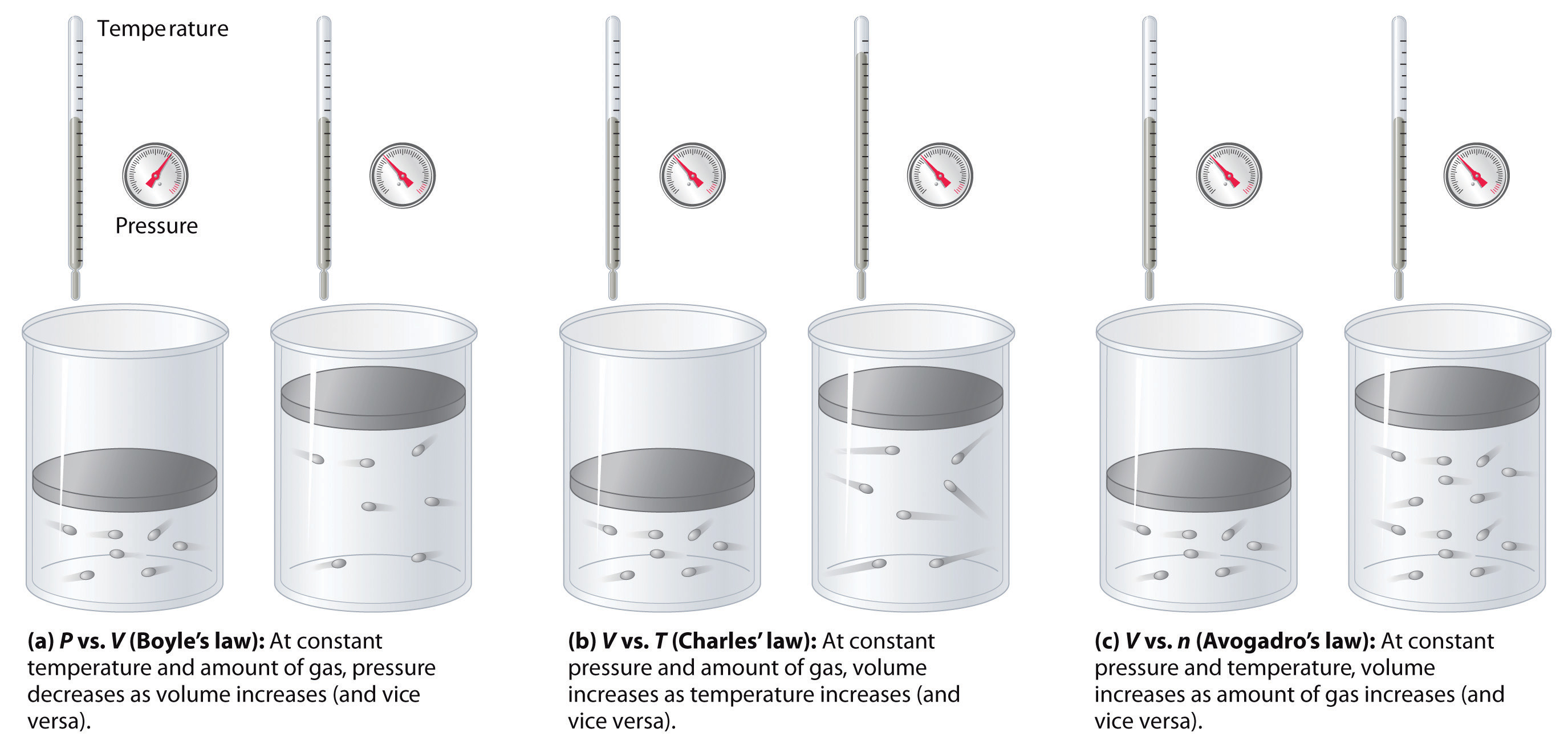 Relationships Among Pressure Temperature Volume And Amount